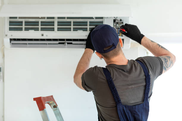 Best Air Duct Sanitizing Services  in Lemon Grove, CA