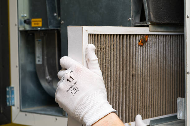 Best Air Duct Sanitizing Services  in Lemon Grove, CA