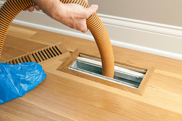 Best Affordable HVAC Duct Cleaning  in Lemon Grove, CA