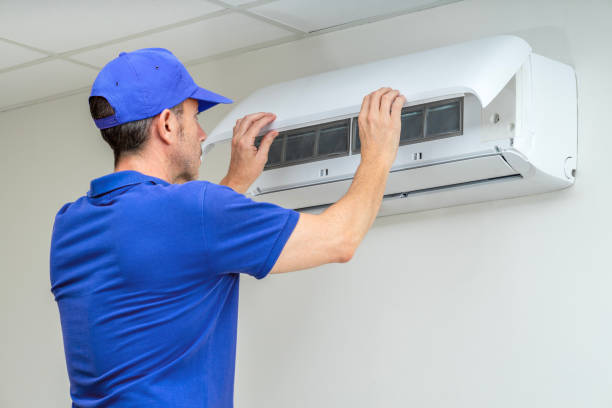 Best Professional Duct Cleaning Services  in Lemon Grove, CA