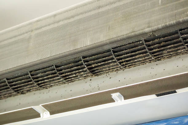 Best Home Air Vent Cleaning  in Lemon Grove, CA