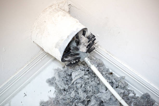 Best Ventilation Cleaning Services  in Lemon Grove, CA