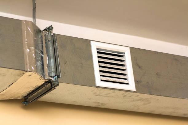 Best Air Vent Cleaning Services  in Lemon Grove, CA